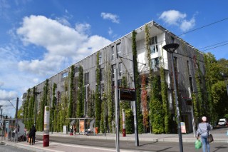 Stadthaus in Freiburg als gelungenes Beispiel für die Umsetzung von Fassadenbegrünungen