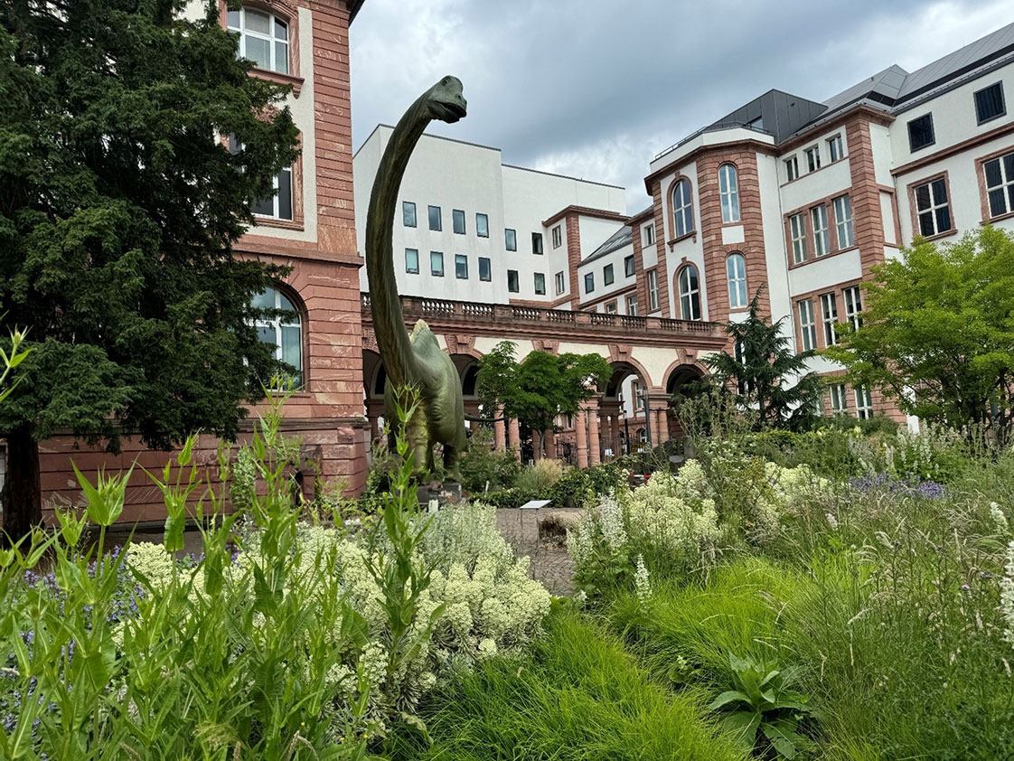 Senckenberg Naturmuseum